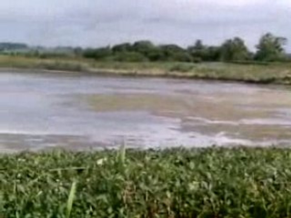marais de merlimont