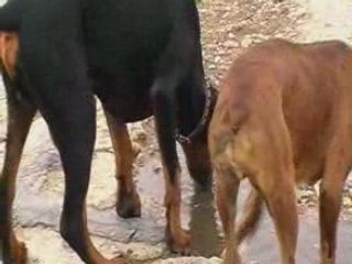 Diego à Niergnies avec Dario