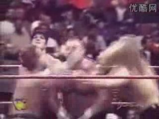 11 cats are barking.