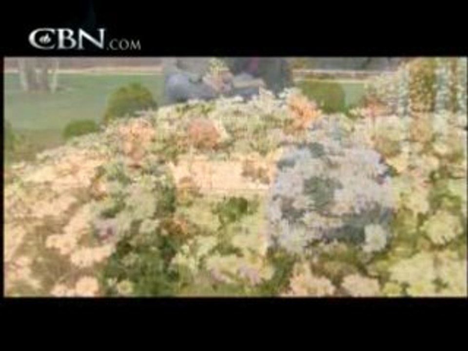 The Bible Thumping Fighter Pilot - CBN.com