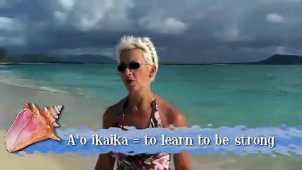 Beach Walk 652 - To Do List Discipline