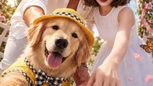 [Full Episodes] He Abandoned My Dog , I Chose His Best Friend