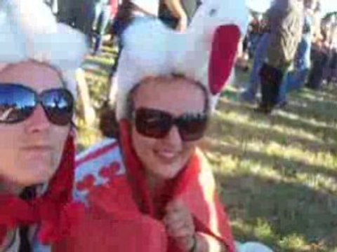 vieilles charrues 2008