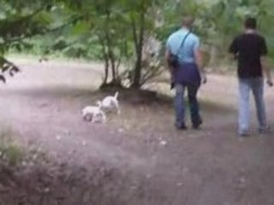 Tanis et Dawa2