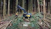 Bûcheron : un métier à hauts risques