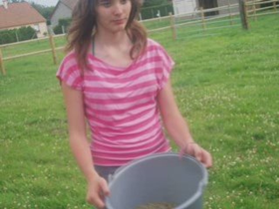 Rando' 2008