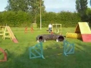 Agility entrain wittes 2