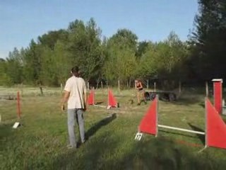 Biki entrainement agility