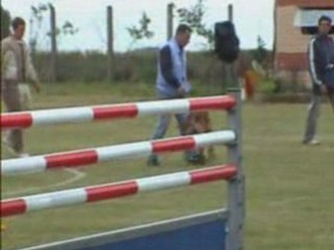 Us'ton du calvaire aux acacias concours de oye plage