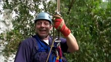 Wild Kratts S02E08 - Secrets of the Spider's Web