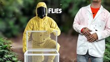 Moscas nucleares: ¿Qué pasa si se contaminan con radiación?