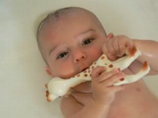 Camille et Sophie la Girafe