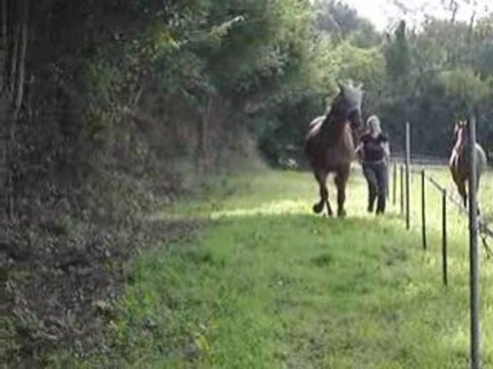 MOV09074