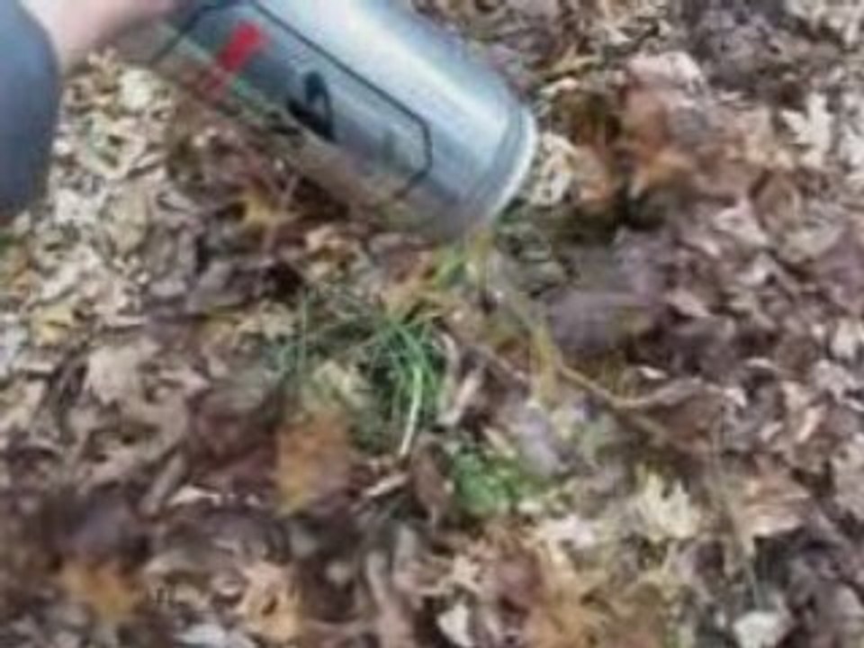 Can You Compost ...?