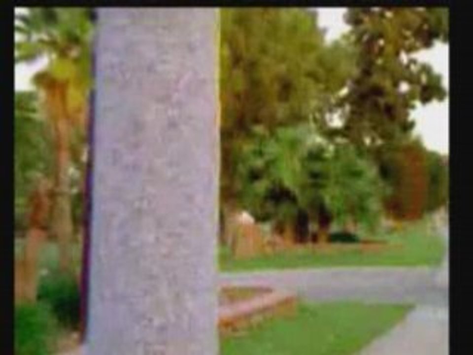 Crank dat forest gump - clip video