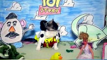 The most traveled cat is Hamlet, who escaped from his carrier while on a flight. He hid fo