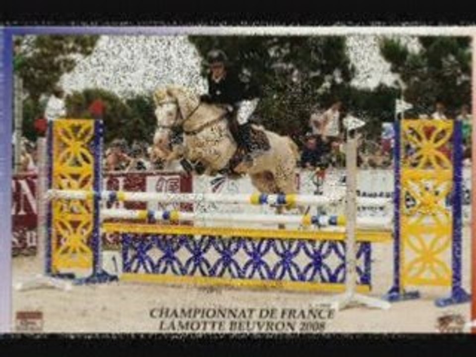 Lamotte 2008 centaure nimes