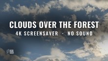 Forest Sky Screensaver · Clouds, No Sound, No AI