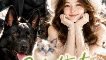 Substitute Bride's Animal-Whispering Saved a Disabled Tycoon ENGSUB #ASR