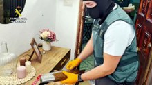 Descubren casi mil plantas de marihuana ocultas en cinco contenedores marítimos en Granada
