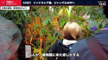 【万博ロス】大屋根リングの盆踊りと、夏の花火｜ウズベキスタン館は床ごと2階へ【大阪・関西万博 未公開映像】