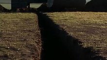 The Viking Discovery Found While Building a Road