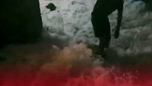Max, el perro que se volvió viral jugando entre las olas en Michoacán