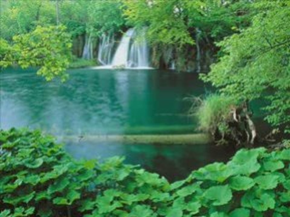 Cascades