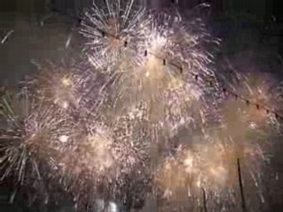 Feux d'artifice de Genève 2008