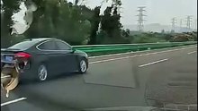 : Why Did the Car Suddenly Drive Straight Into It? 😱 | Road Safety