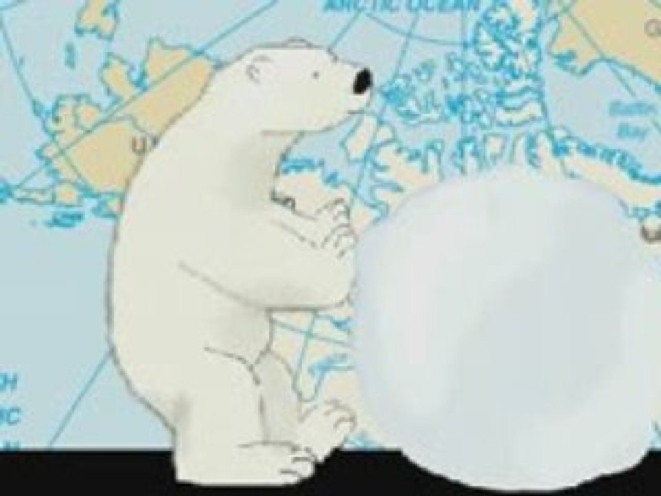 Bears