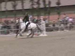 Chpt Fr CSO D3 minime Finale 2° manche 3°rang 0fte