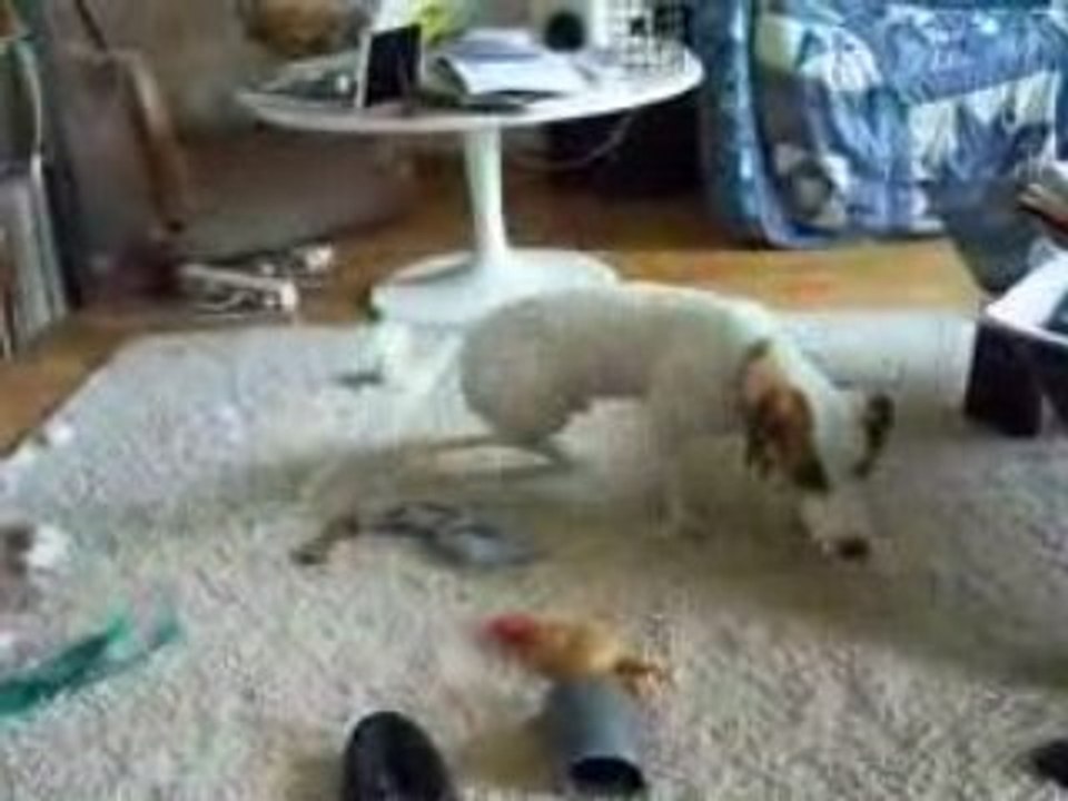 charlie
