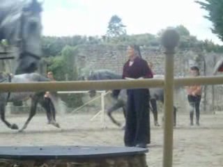 Spectacle équestre a Chambord