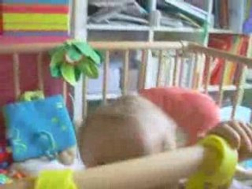 Coup de folie d'Ewen Menguy