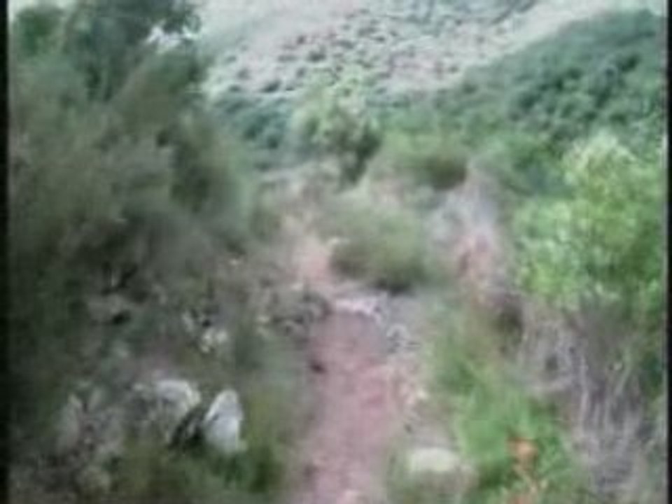 Single Track Coral Pere Vicent à Coco de Jordi