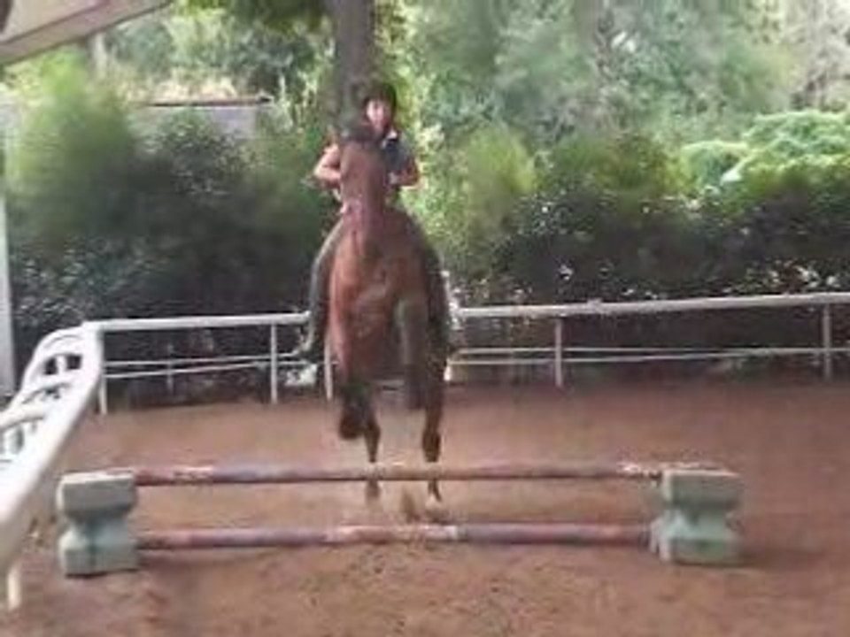 Moi et Energie saut a cru et en licol!