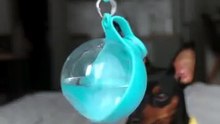 Portable Pet Water Bottle – Leak-Proof Dog Water Bottle for Walks, Travel & Hikes