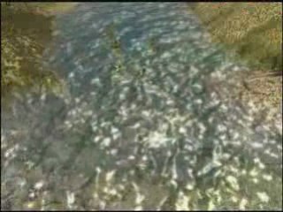 S2FA -  Water Effects