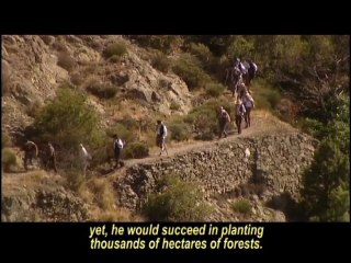 Reboisement de l'Aigoual