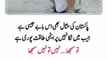 Daily Life Quotes That will change Your Life