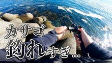 テトラ帯の穴釣りでカサゴ連発！ブラクリを落とすとすぐ反応