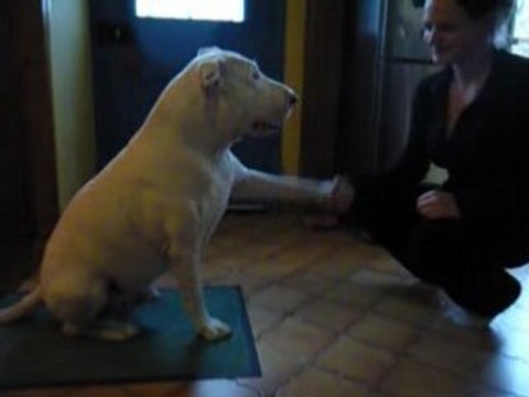 Mon Pacte avec Mon Gros !!!