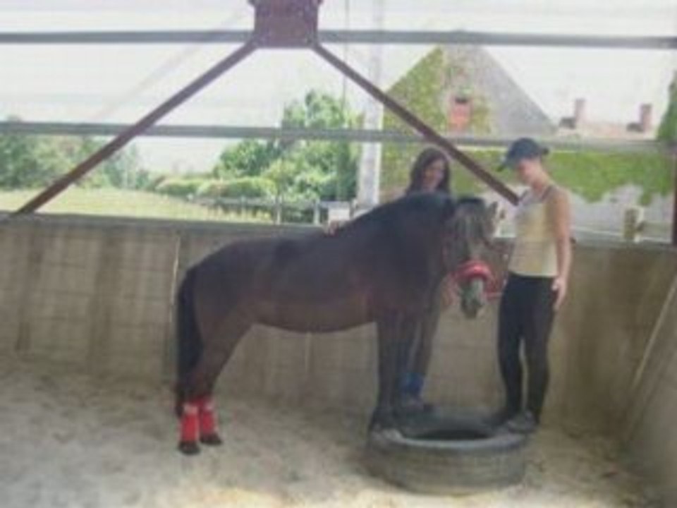 Ponette de Cirque =D