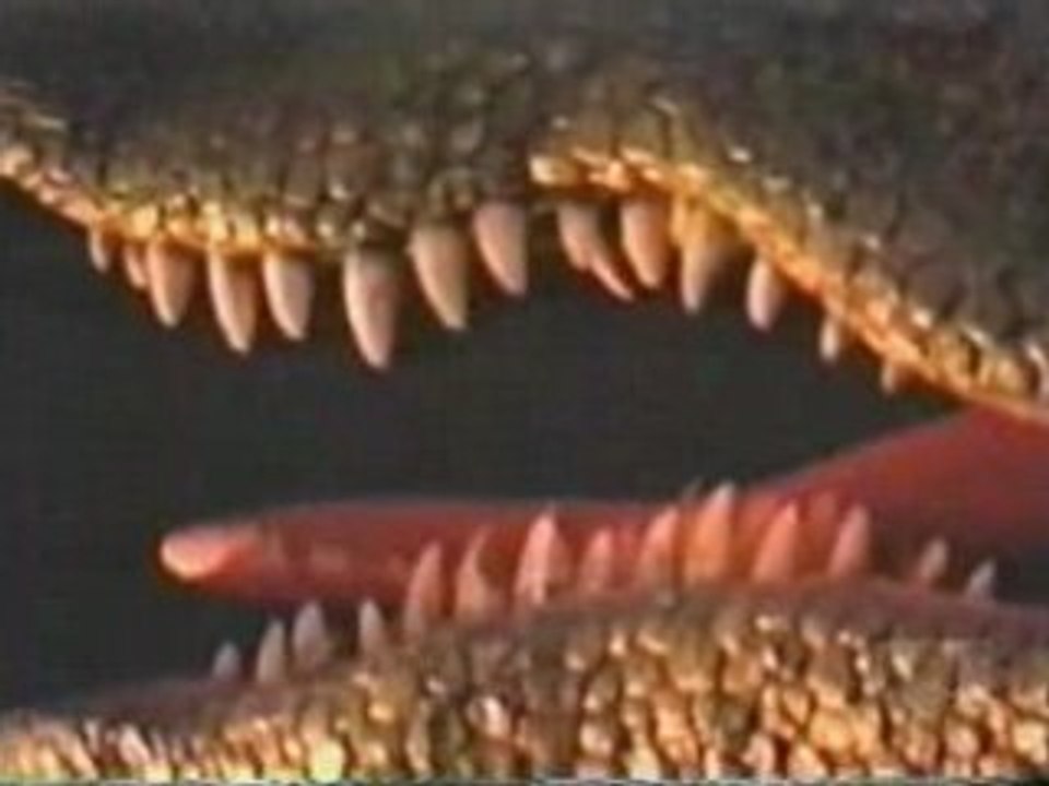 Les monstres de lac - 1 de 3