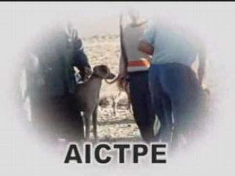 Www.aictpe.c.la. Association Ingmarn MAROC