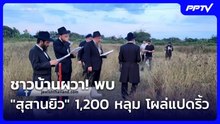 ชาวบ้านผวา! พบ "สุสานยิว" 1,200 หลุม โผล่แปดริ้ว| โชว์ข่าวเช้านี้ | 4 ก.ย. 69