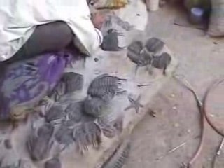 Prep Lab-Part 01-Erfoud, Morocco