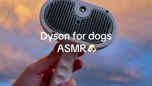 Spray Grooming Comb — Gentle Care, Happy Pets 🐾