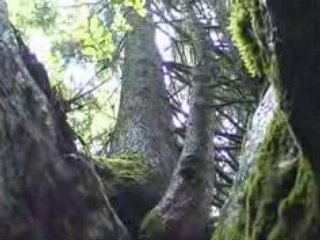 Retour à l'âge des cavernes